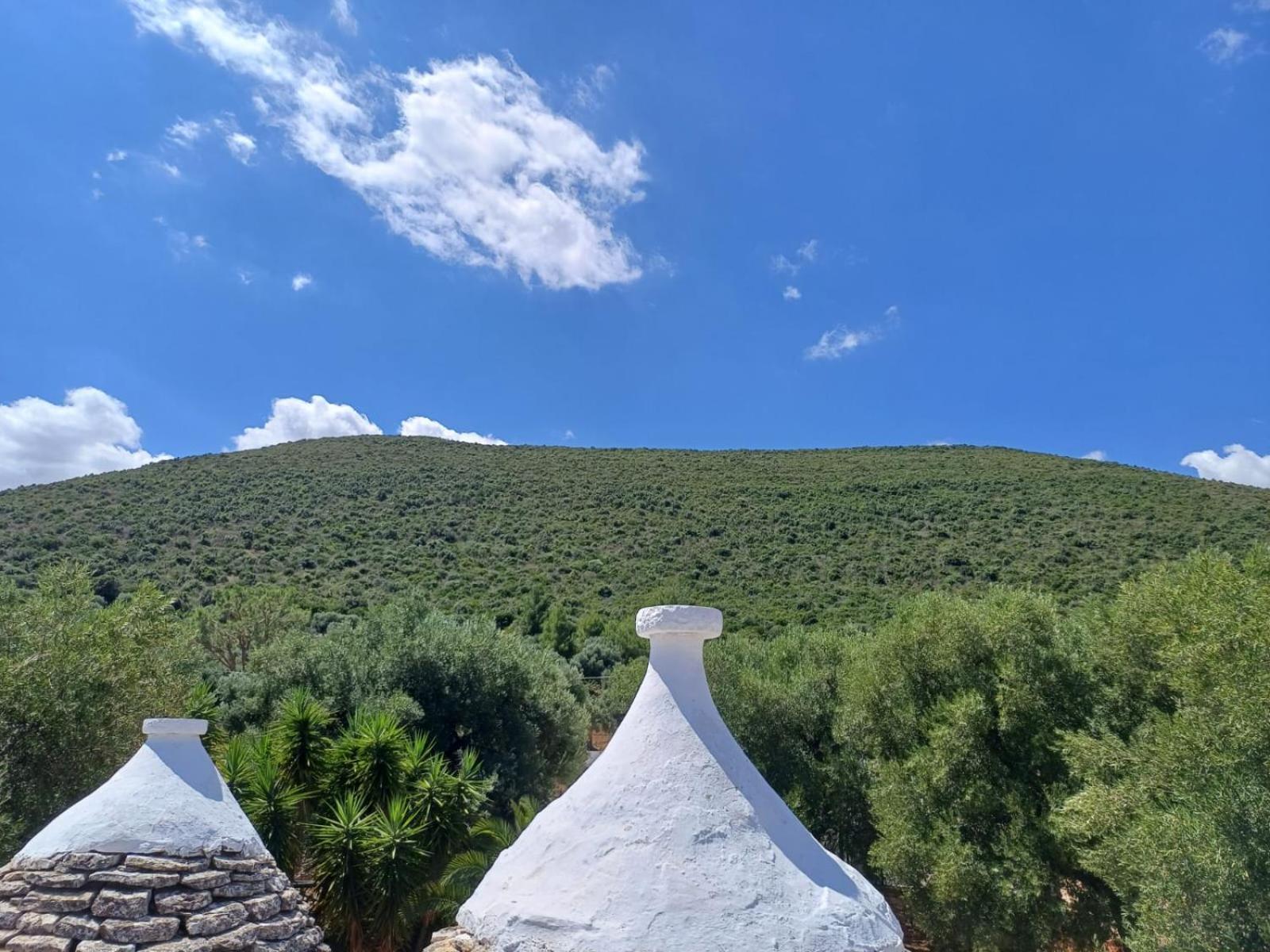Willa Hill Trull - Typical Apulian House Monopoli Zewnętrze zdjęcie